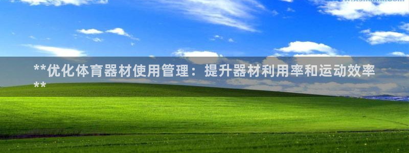 耀世集团董事长是谁：**优化体育器材使用管理：提升器