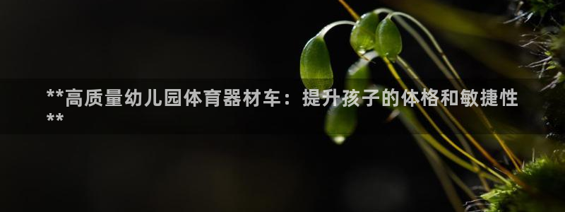 耀世娱乐官网网站登录：**高质量幼儿园体育器材车：提