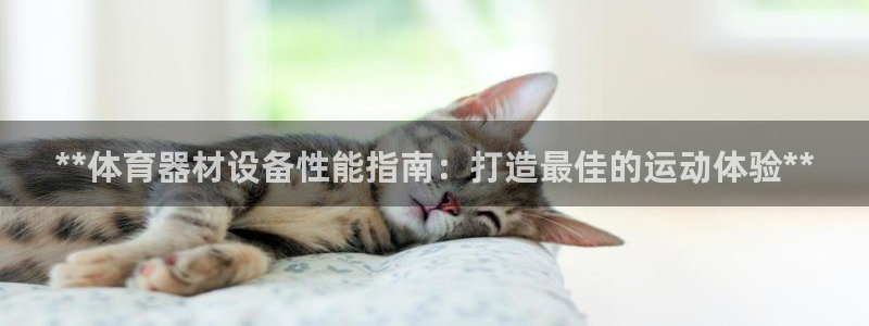 耀世娱乐如何登录平台:**体育器材设备性能指南:打造最佳的运