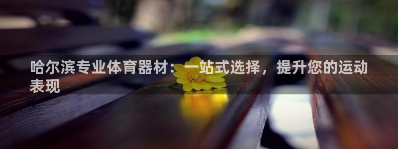耀世平台升 411O31 耀世:哈尔滨专业体育器材:一站式选
