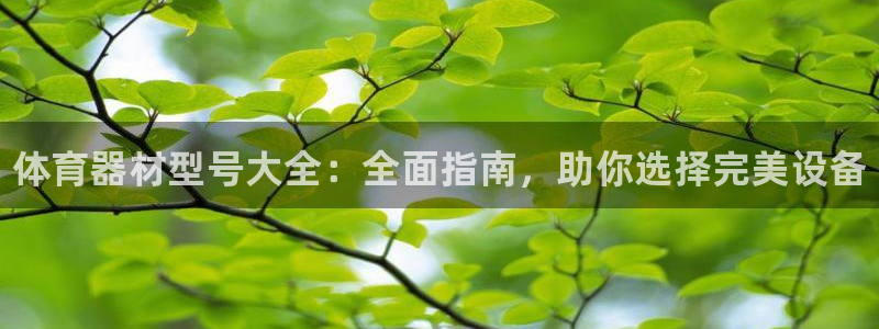 耀世平台皮皮虾:体育器材型号大全:全面指南,助你选择完美设备